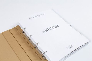 ANIMISM1-4.jpg