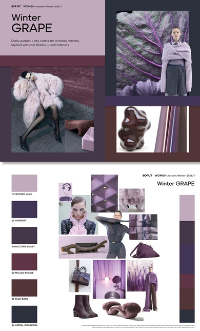 WOMEN-26-7-COLOUR-CONCEPT3.jpg