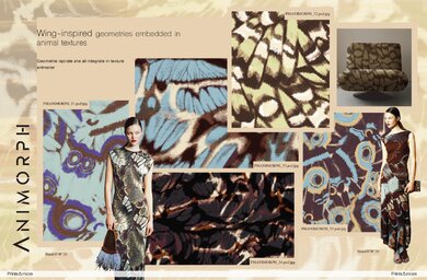202603PrintsMoreVol19Animorph_Projectionsimgaeinside01low.jpg
