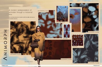 202603PrintsMoreVol19Animorph_Projectionsimgaeinside02low.jpg