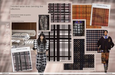 202603PrintsMoreVol19Animorph_Projectionsimgaeinside04low.jpg