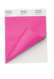 Nylon-swatch-card.jpg