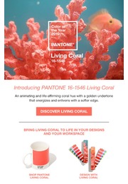 0-SWCD-pantone-fashion-home-interiors-tcx-cotton-swatch-color-of-the-year-2019-living-coral-jpg.jpg